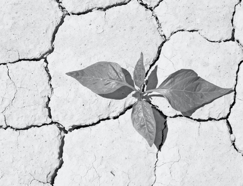 Developing resilience in your emerging team workforce