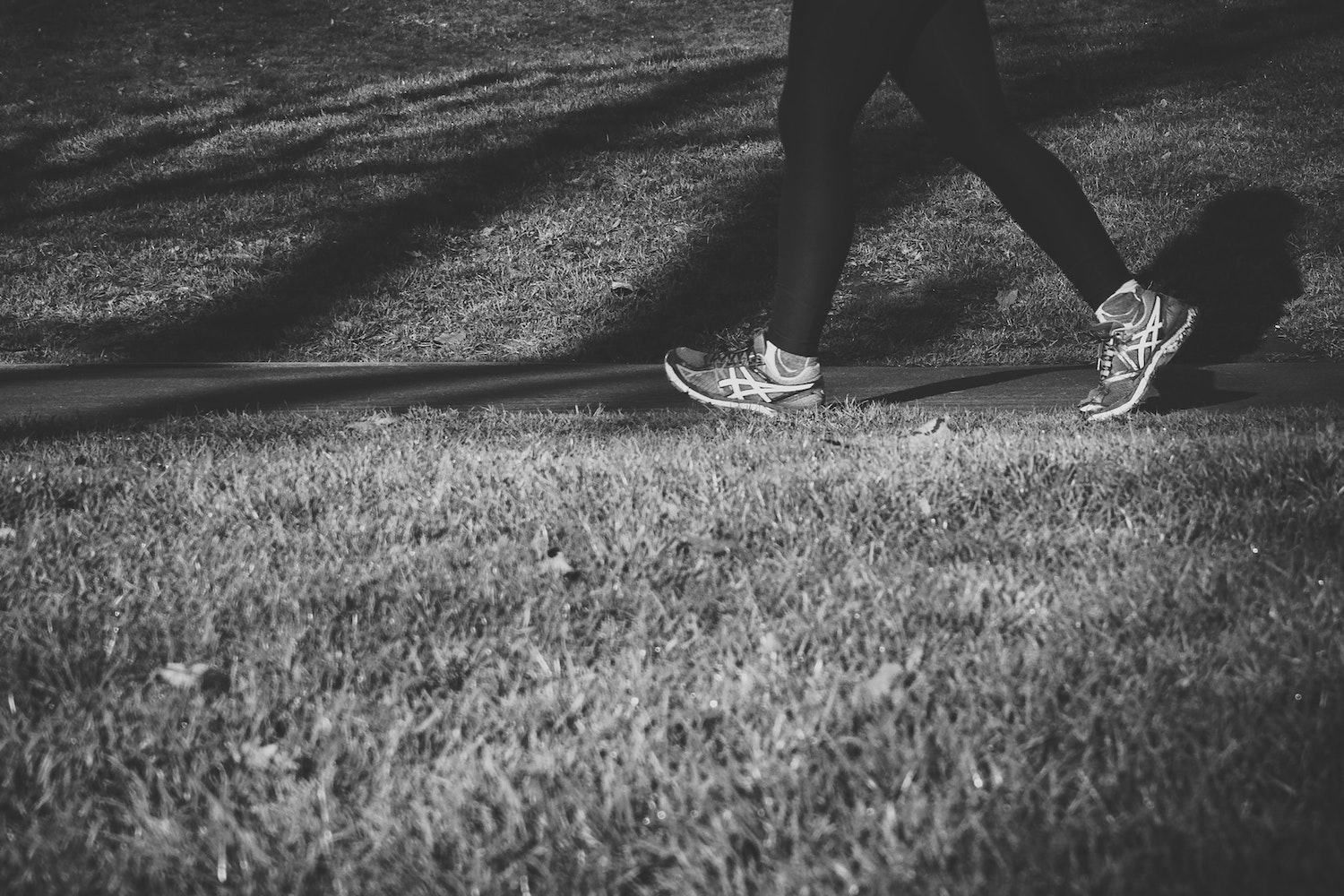 excercise wellbeing team